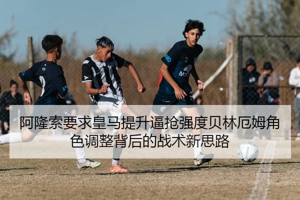 img_1783775338482_148_0_956.jpg（kaiyun）